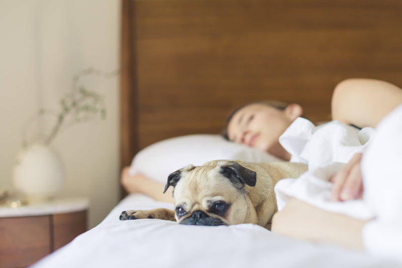 How to pick a mattress | Mattress Firmness, Cooling, Sleeping Positions